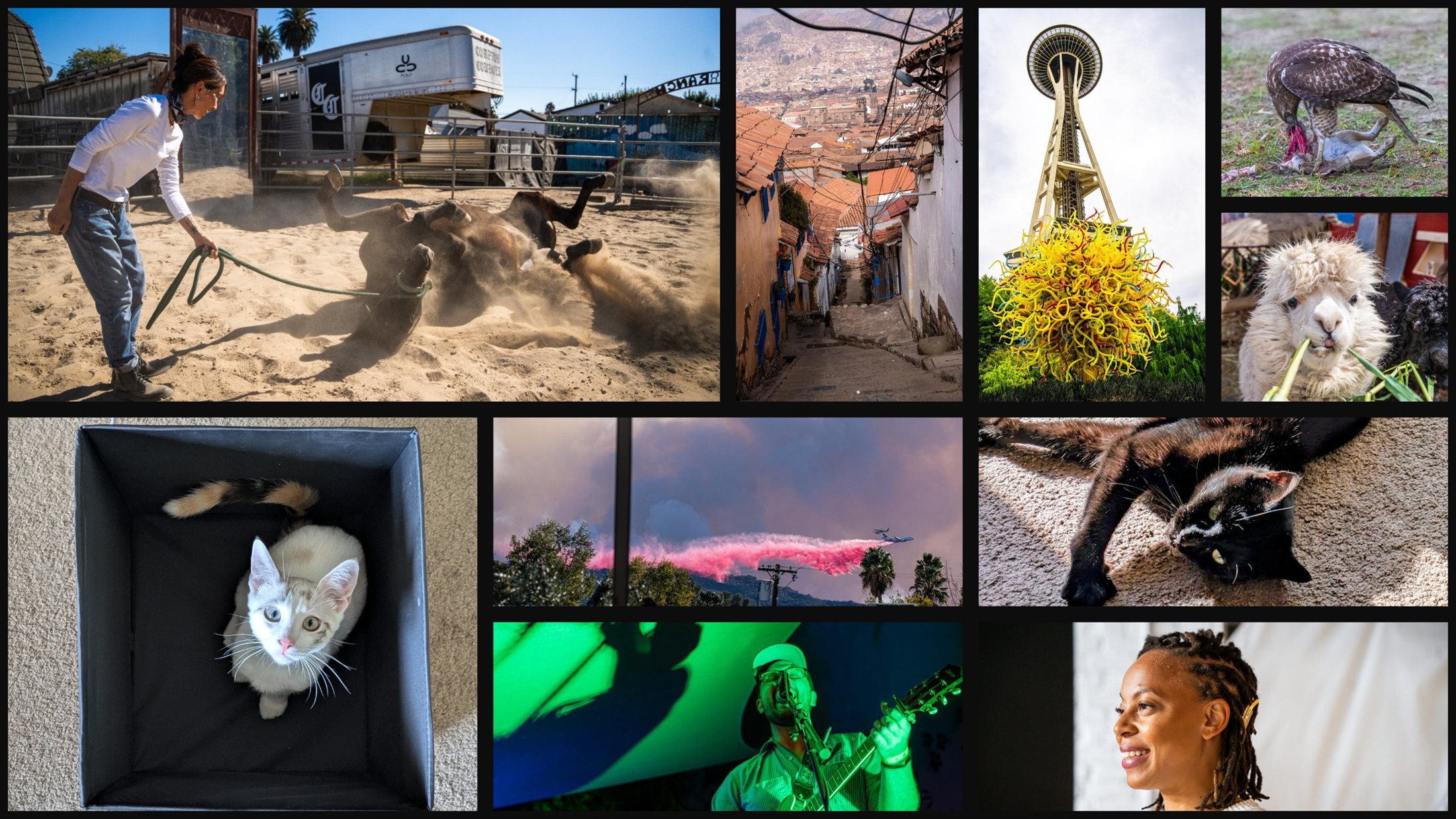 A collage of Baramay Ung's photography: a rancher leading a horse rolling in the dust, a hillside Andean alley, the Space Needle with Chihuly glass, a red-tailed hawk, an alpaca, a kitten in a box, an air tanker over a wildfire, a black cat, a musician in green stage light, and a portrait of a smiling woman.